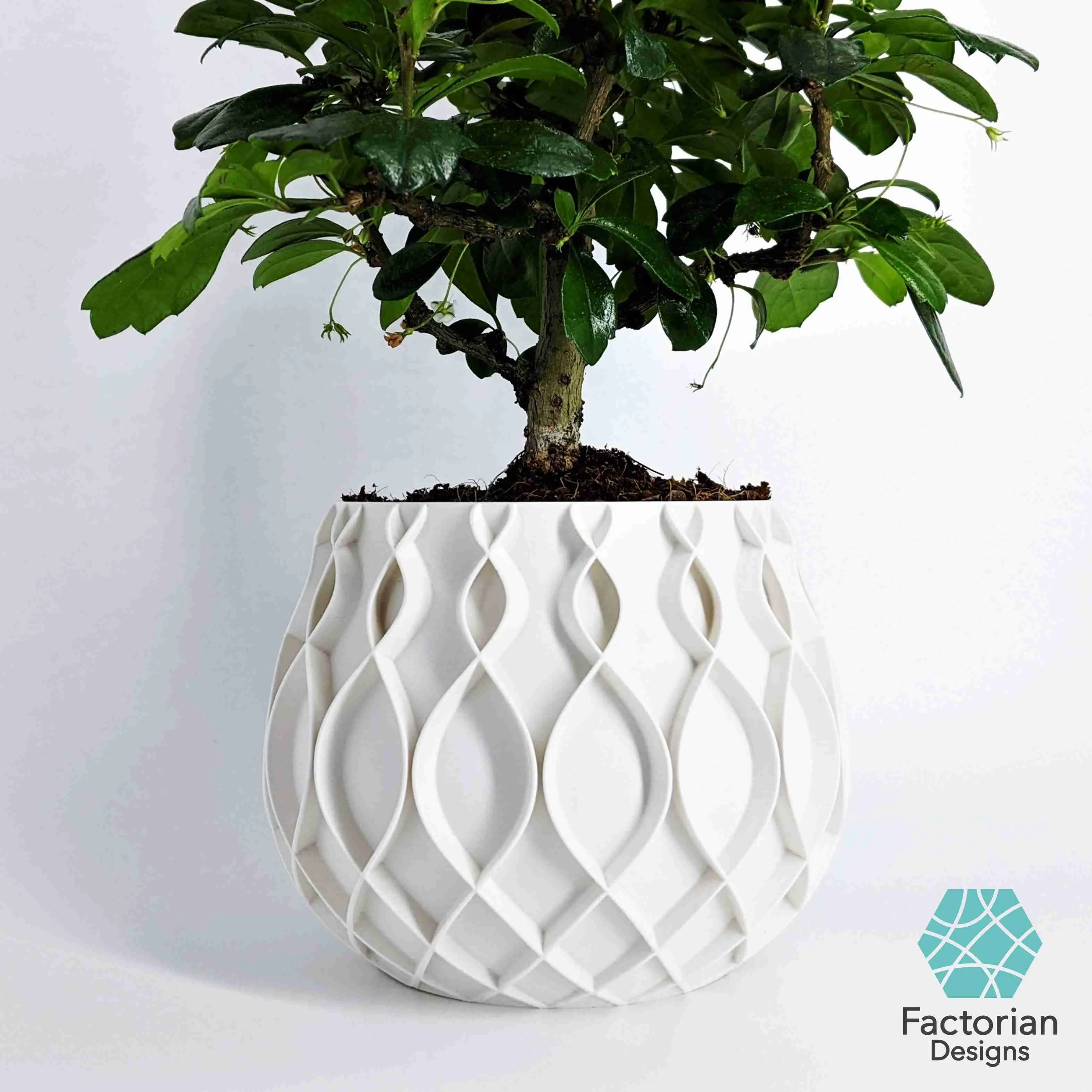 Plant Pot "Bellvere" | Planter + Drain Tray STL to 3D print