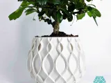 Pot de fleurs "Bellvere" | Jardinière + bac de drainage STL à imprimer en 3D-3