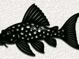 pleco plecostomus fish wall art home decor-0