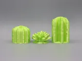 Cactus décor-2