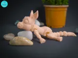 Donkey Flexi Articulated-5