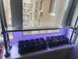 LED lighting for seedlings - led подсветка для рассады-1