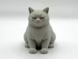 Not Amused Cat-2