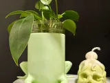 Frog Planter-2