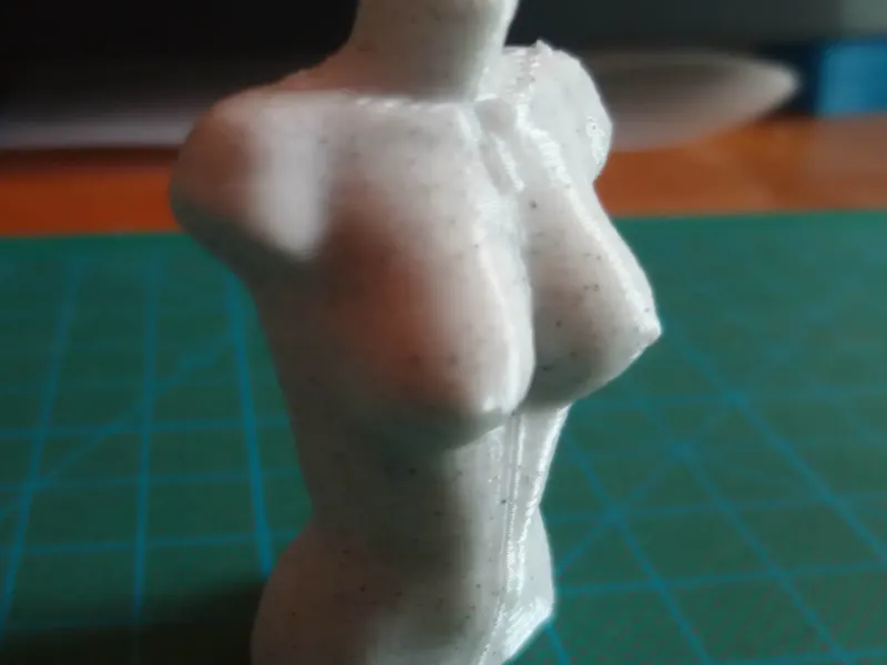 Mannequin Female Torso