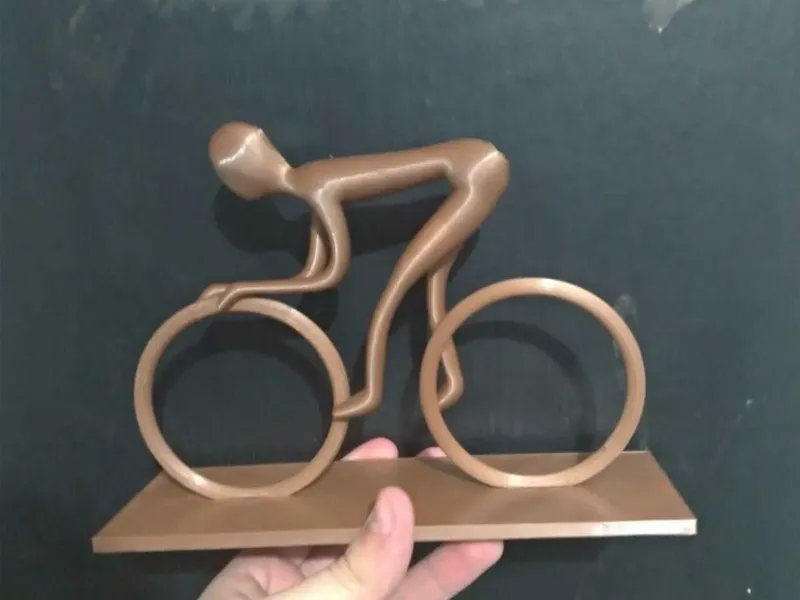 The Minimalist Cyclist