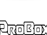 pro-0