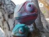 WALL CHAMELEON-0