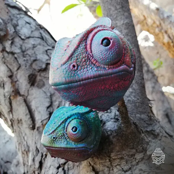 WALL CHAMELEON