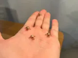 Mini Sphere Buddy-1