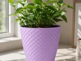 FLOWER POT-1