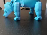Puppy-4