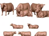 Cows-0