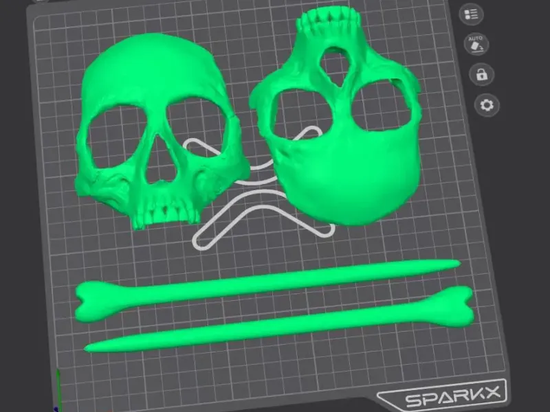 Skull Hairpins, set of two