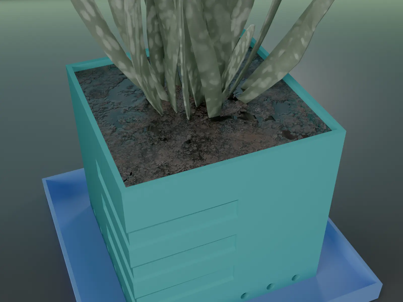 plant pot for succulent 28