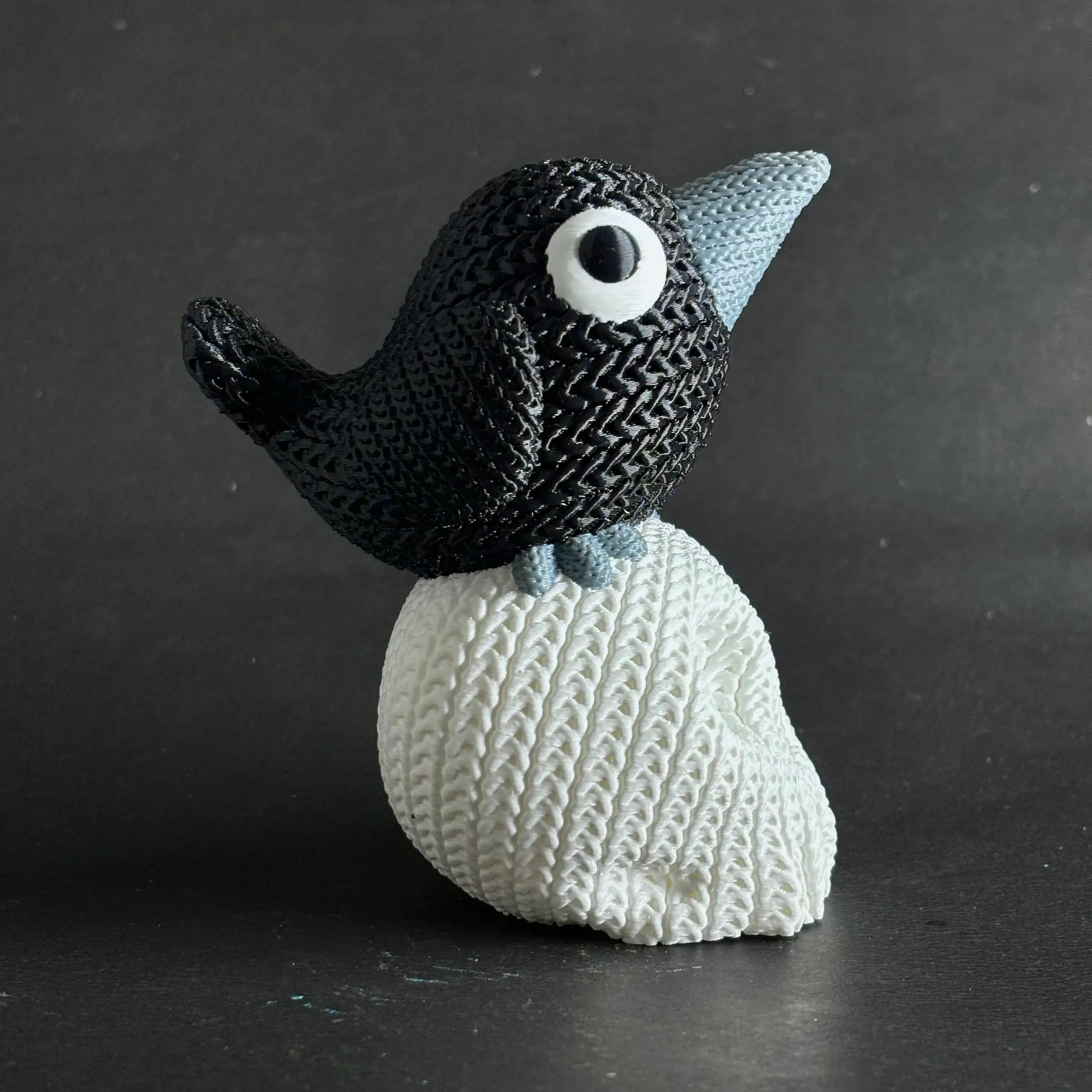 Knitted Raven On Skull