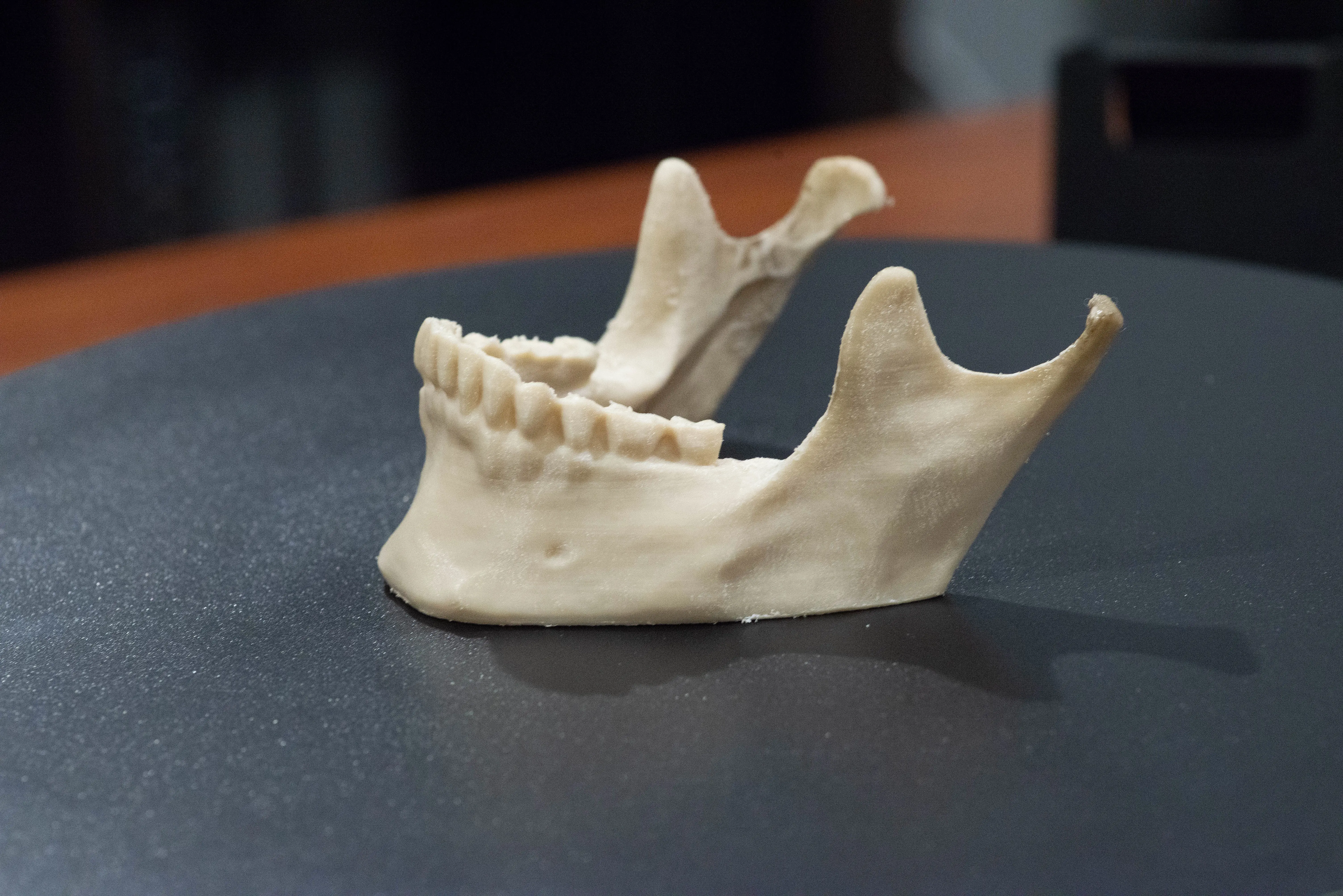 Jaw Bone Business Card Holder