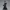 Lady Verdantia – Masquerade Elegance Edition