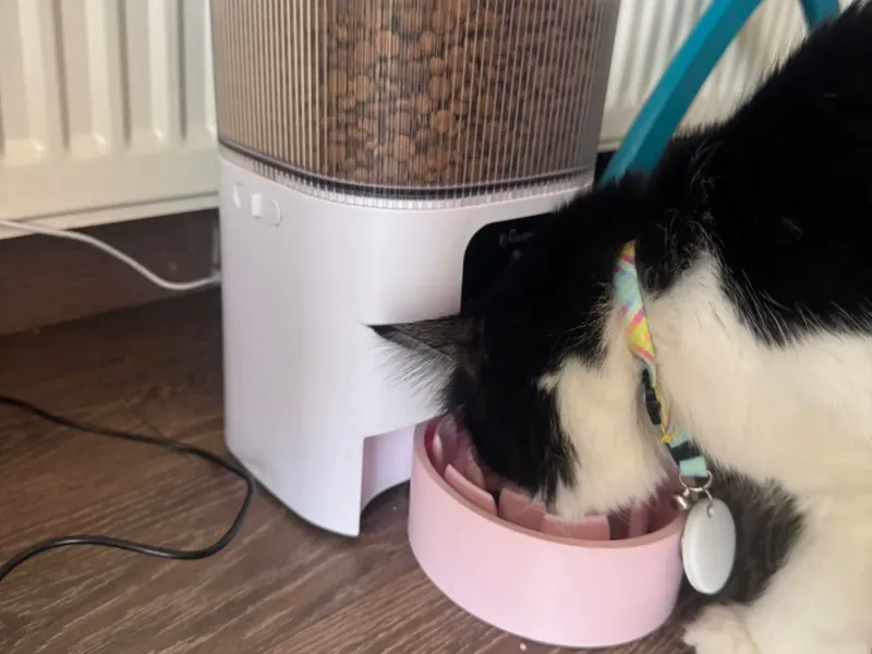 Automatic Pet Feeder Slow Bowl for cats and dogs