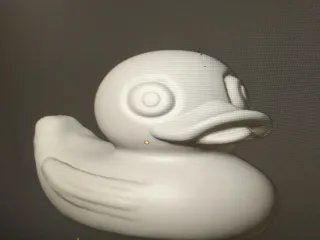 DuckMini