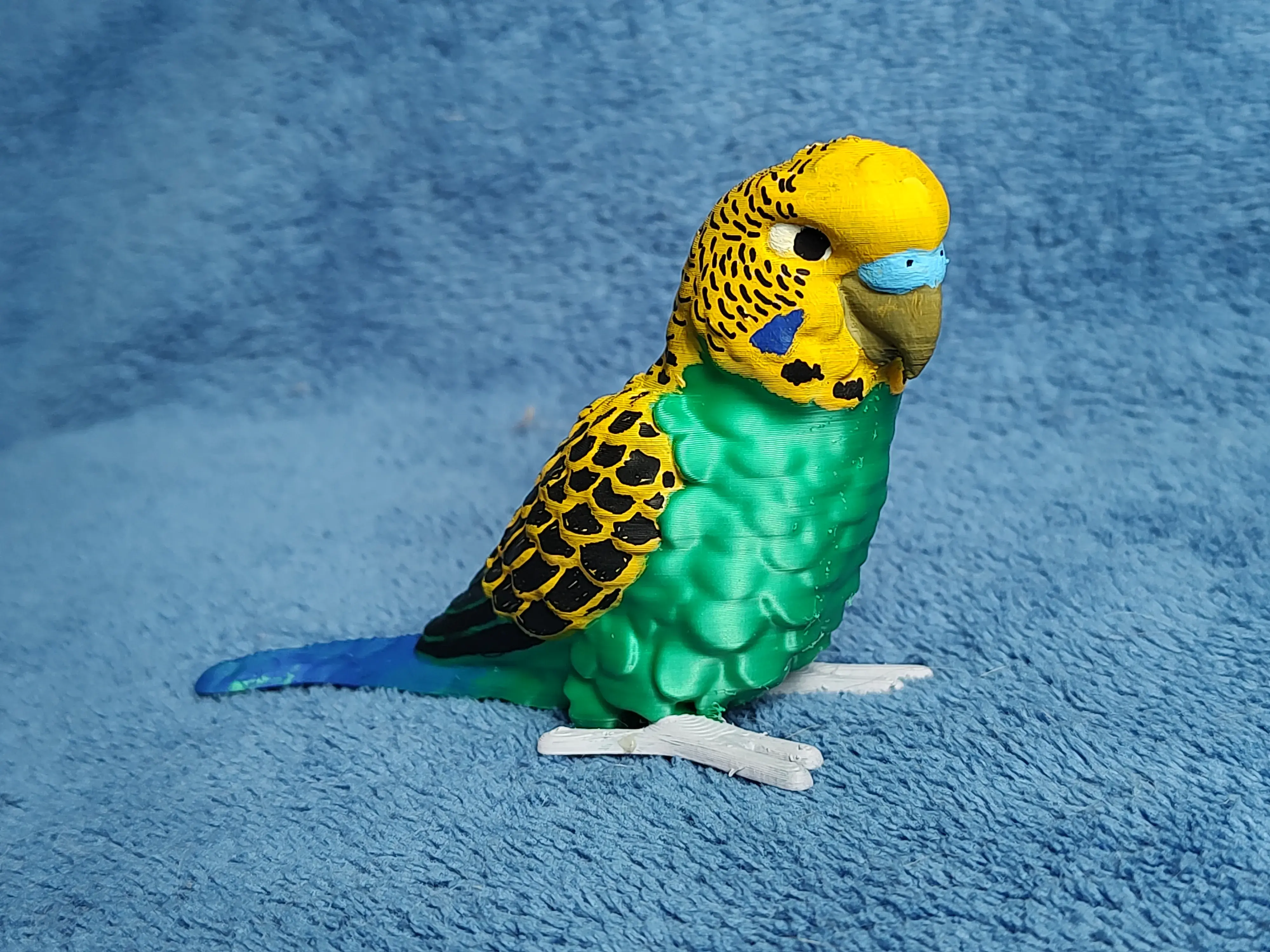 Budgie | 3D models download | Creality Cloud