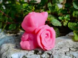 Especial San Valentín - Bulbasaur-3