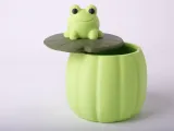 Frog Lily Trinket Box - Cute Lily Pad Storage-1