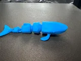Gelenkwal-3