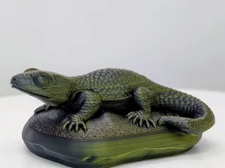 Lizard - No support