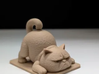 Grumpy Cat Does Yoga (Badly)