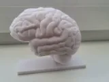 CRL_trophy_brains-1