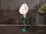 Calla lily multi-part-3