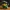 Rubber Duck - Rock Lee model - 3d print