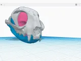Skull Cat Head-1