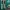 Varka Cosplay legs Armor Outfit Genshin Impact