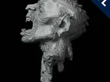 Orc Head Gore-1