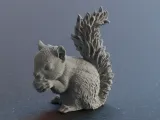 Cute Squirrel eating a Nut-1