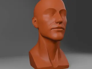 Head model