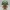Cozy Knitted Mushroom Buddy – Noah0x03
