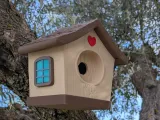 Cute Bird House-4