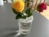 Glas vase-0