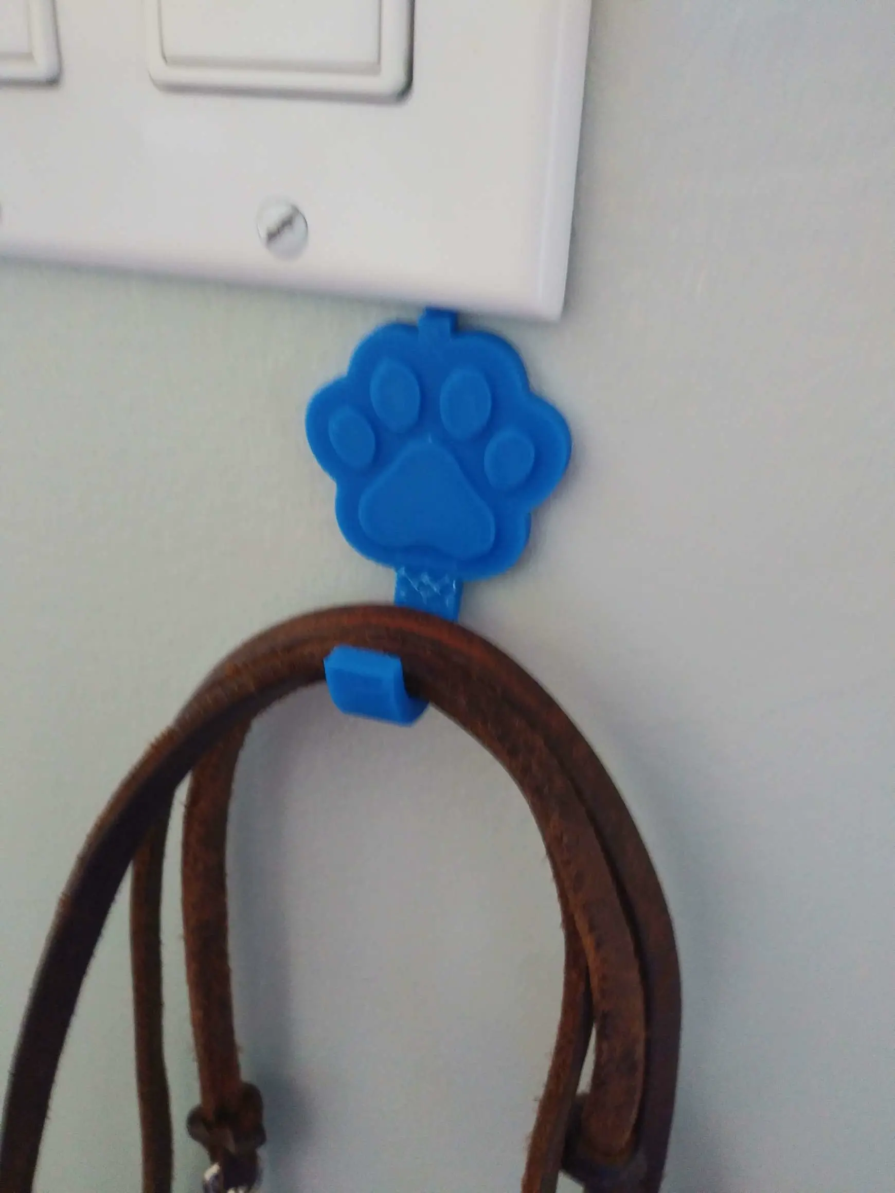 Dog Leash Hook