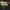 Happy 81st Birthday Cake Topper