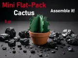 Mini Cactus (À monter soi-même)-2