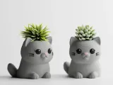 LeafyPaws – Grow a little personality.-1