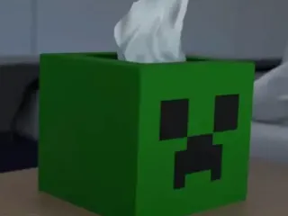 Creeper Tissue Box