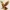 Eagle 2 - Roots of Life – The Wooden Creatures