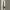 Mop / Broom Stick Handle