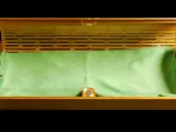 Katlanabilir Gözlük Kılıfı (pip)-1