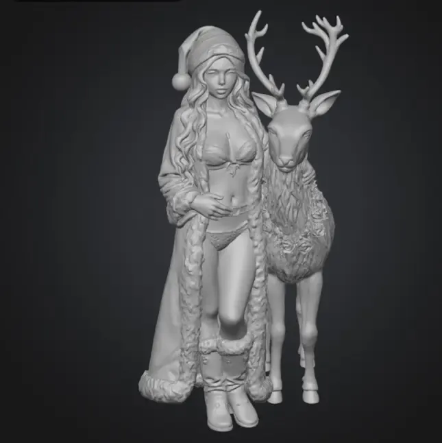 Mrs Claus and her Reindeer